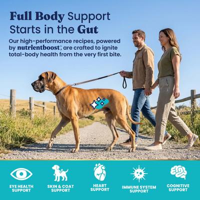Show full view: Solid Gold NutrientBoost Bison & Brown Rice Large Breed Gut Health Whole Grain Dry Dog Food, 22-lb bag slide 5 of 11