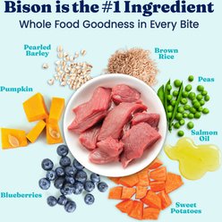 Solid Gold NutrientBoost Bison & Brown Rice Large Breed Gut Health Whole Grain Dry Dog Food, 22-lb bag slide 2 of 9