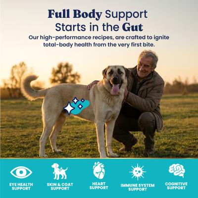Show full view: Solid Gold Real Lamb, Brown Rice & Pearled Barley Whole Grain Recipe Dry Dog Food for Medium & Large Dogs, 4-lb bag slide 5 of 12