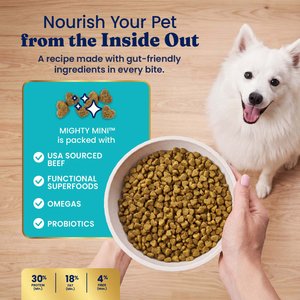 Solid Gold Toy & Small Breed Grain-Free Real Beef, Sweet Potato & Apple Dry Dog Food, 11-lb bag