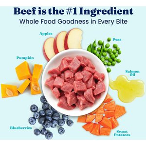 Solid Gold Toy & Small Breed Grain-Free Real Beef, Sweet Potato & Apple Dry Dog Food, 11-lb bag