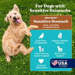 Solid Gold Sensitive Stomach Grain-Free Quail, Chickpea & Pumpkin Dry Dog Food, 24-lb bag slide 2 of 9