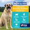 Show in main carousel: Solid Gold Real Lamb, Brown Rice & Pearled Barley Whole Grain Recipe Dry Dog Food for Medium & Large Dogs, 4-lb bag slide 3 of 12