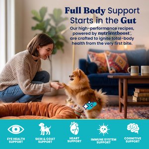 Solid Gold NutrientBoost Chicken, Chickpea & Pumpkin Toy & Small Breed Gut Health Grain-Free Dry Dog Food, 11-lb bag