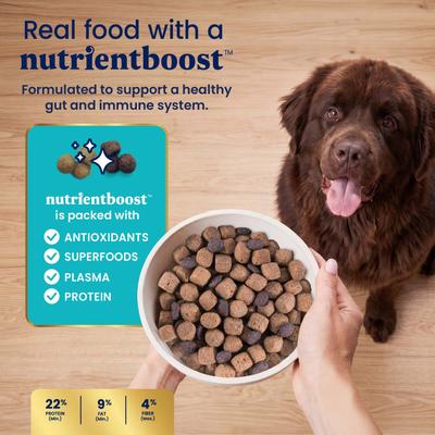 Show full view: Solid Gold NutrientBoost Bison & Brown Rice Large Breed Gut Health Whole Grain Dry Dog Food, 22-lb bag slide 8 of 11