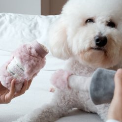 Lambwolf Nail Polish Squeaky Plush Dog Toy, Pink, 5-in slide 2 of 6