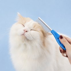 NonoPets Multi-Tooth Stainless Steel Pet Grooming Dog & Cat Comb, Blue