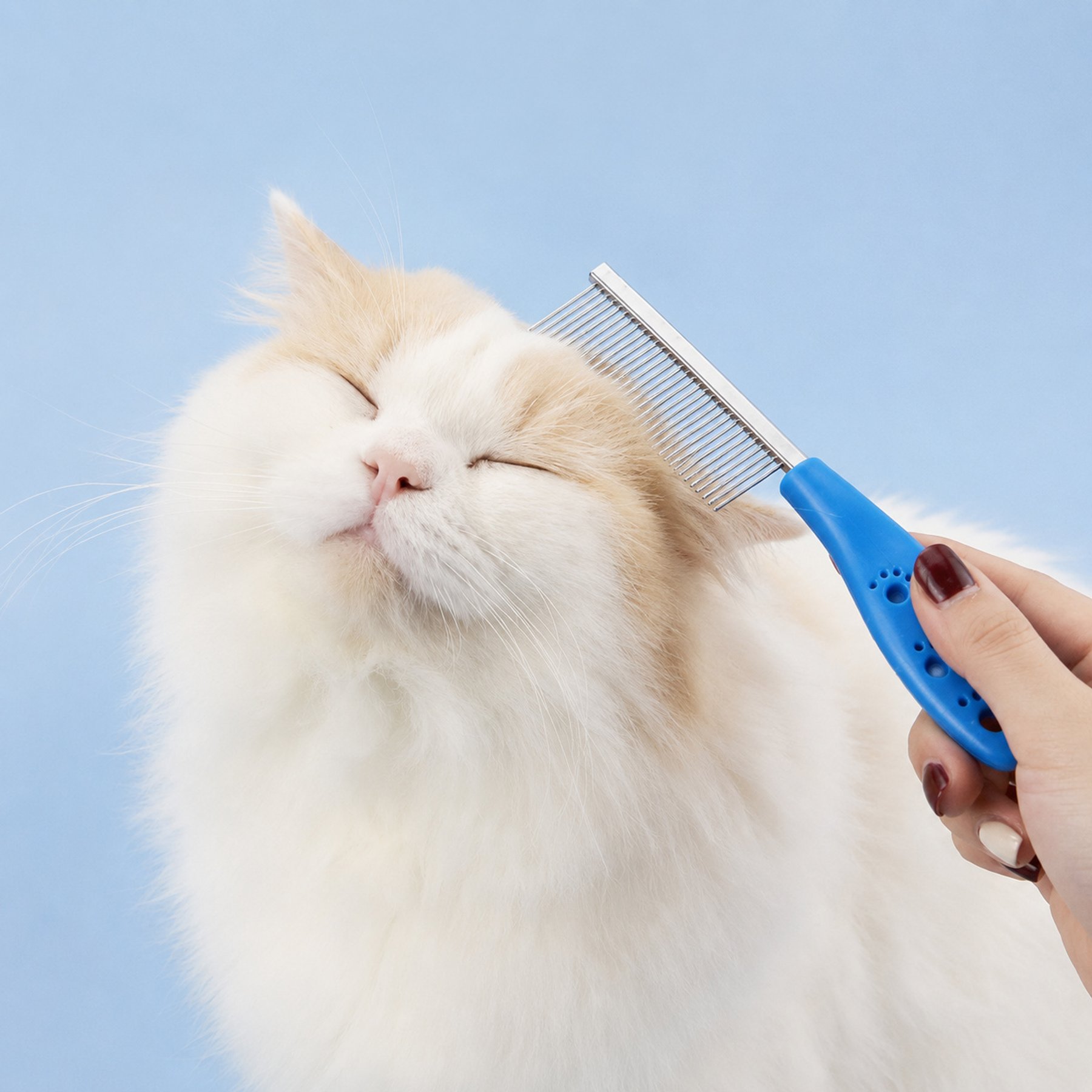 NonoPets Multi-Tooth Stainless Steel Pet Grooming Dog & Cat Comb, Blue