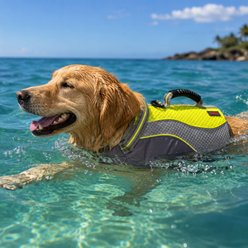 KONG Sport Ultimate Float Water-Resistant Dog Life Jacket, Green, Large slide 2 of 5