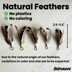 Repounce Feather Toy Set Cat Toy, 3 count slide 2 of 9