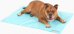 Dog Friendly Co. Summer Dog Cooling Mat, Large, Sky Blue