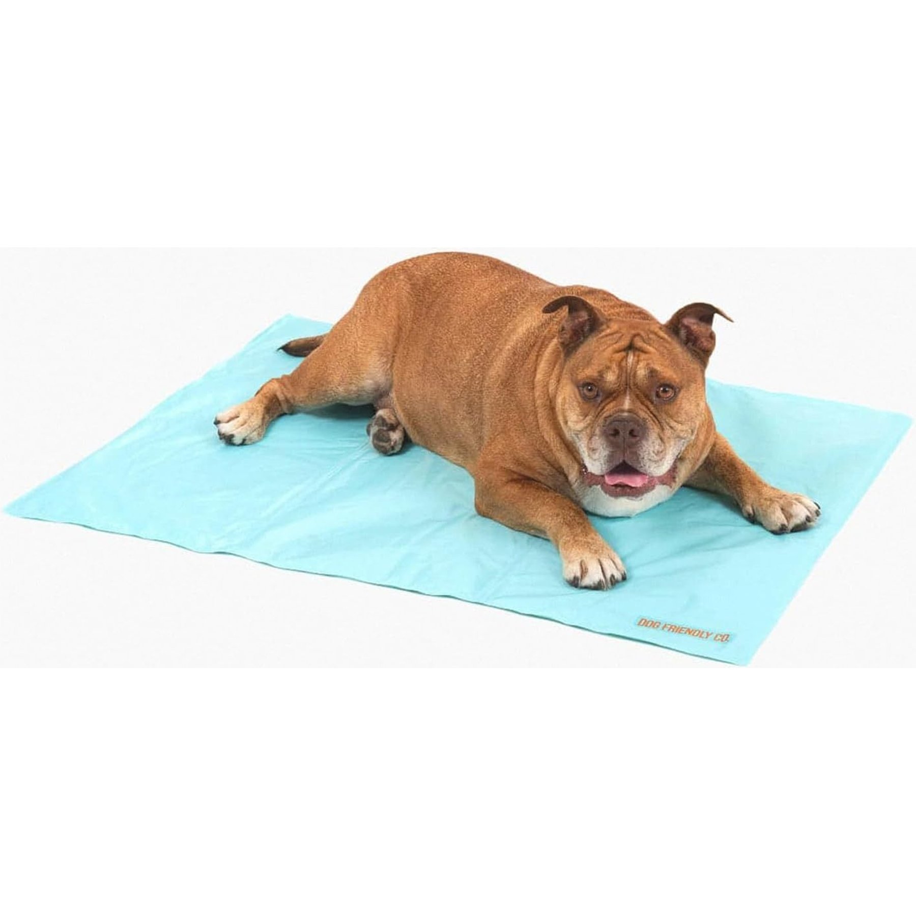 Dog Friendly Co. Summer Dog Cooling Mat, Large, Sky Blue