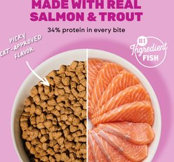 I and Love and You Naked Essentials Salmon & Trout Recipe Grain-Free Dry Cat Food, 11-lb bag slide 2 of 9