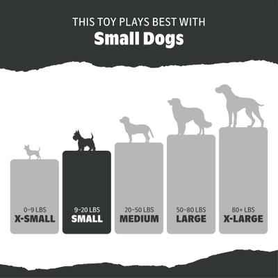 Show full view: BARK Avocadoggo Tough Chewer Treat Dispensers Dog Toy, Green slide 5 of 7