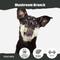 Show in main carousel: BARK Mushroom Branch Tough Chew Dog Toy, Multicolor slide 3 of 7