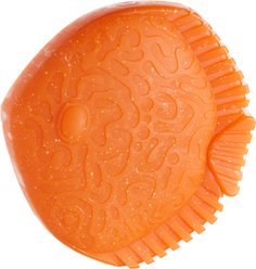 BARK Angela The Angelfish Tough Chew Dog Toy, Orange
