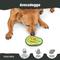 Show in main carousel: BARK Avocadoggo Tough Chewer Treat Dispensers Dog Toy, Green slide 3 of 7