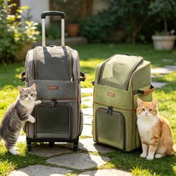 Niubya Double-Layer Rolling Backpack Dog & Cat Carrier Bag, 23-in, Grey slide 2 of 8
