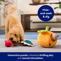 Frisco Pumpkin Hide & Seek Puzzle Plush Squeaky Dog Toy, Small/Medium slide 2 of 6