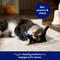 Show in main carousel: Frisco Halloween Raven Sound Electronic Plush Cat Toy with Silvervine & Catnip slide 4 of 6