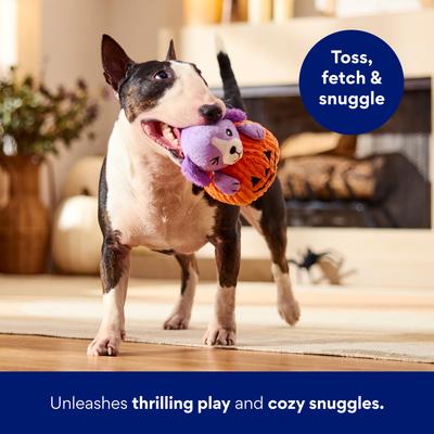 Show full view: Frisco Halloween Pumpkin Pup Plush Squeaky Dog Toy, Medium slide 5 of 7