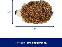 Frisco Hedgehog Plush Squeaky Dog Toy, Small slide 2 of 5