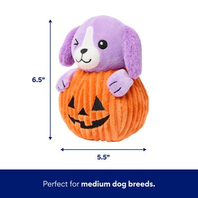 Show full view: Frisco Halloween Pumpkin Pup Plush Squeaky Dog Toy, Medium slide 2 of 7