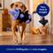 Show in main carousel: Frisco Halloween Raven Plush Squeaky Dog Toy, Medium/Large slide 5 of 7