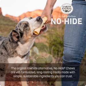 Earth Animal No-Hide Medium Rolls Long Lasting Natural Rawhide Free Chicken Recipe Dog Chews, 2 count