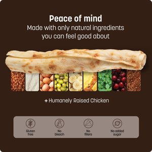 Earth Animal No-Hide Medium Rolls Long Lasting Natural Rawhide Free Chicken Recipe Dog Chews, 2 count