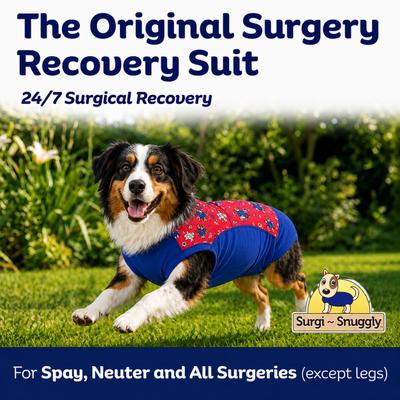 Show full view: Surgi Snuggly the Wonder Dog Suit, Small Long slide 8 of 9