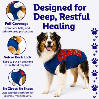 Show full view: Surgi Snuggly the Wonder Dog Suit, Small Long slide 5 of 9