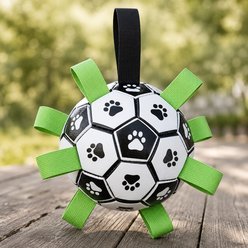 NonoPets Outdoor Durable Inflatable Design Fetch & Daily Enrichment Fun Interactive Ball Dog & Cat Play Toy with Grab Straps, White, Small