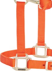 Weaver Equine Original Adjustable Chin & Throat Snap Horse Halter, Orange, Yearling slide 2 of 4