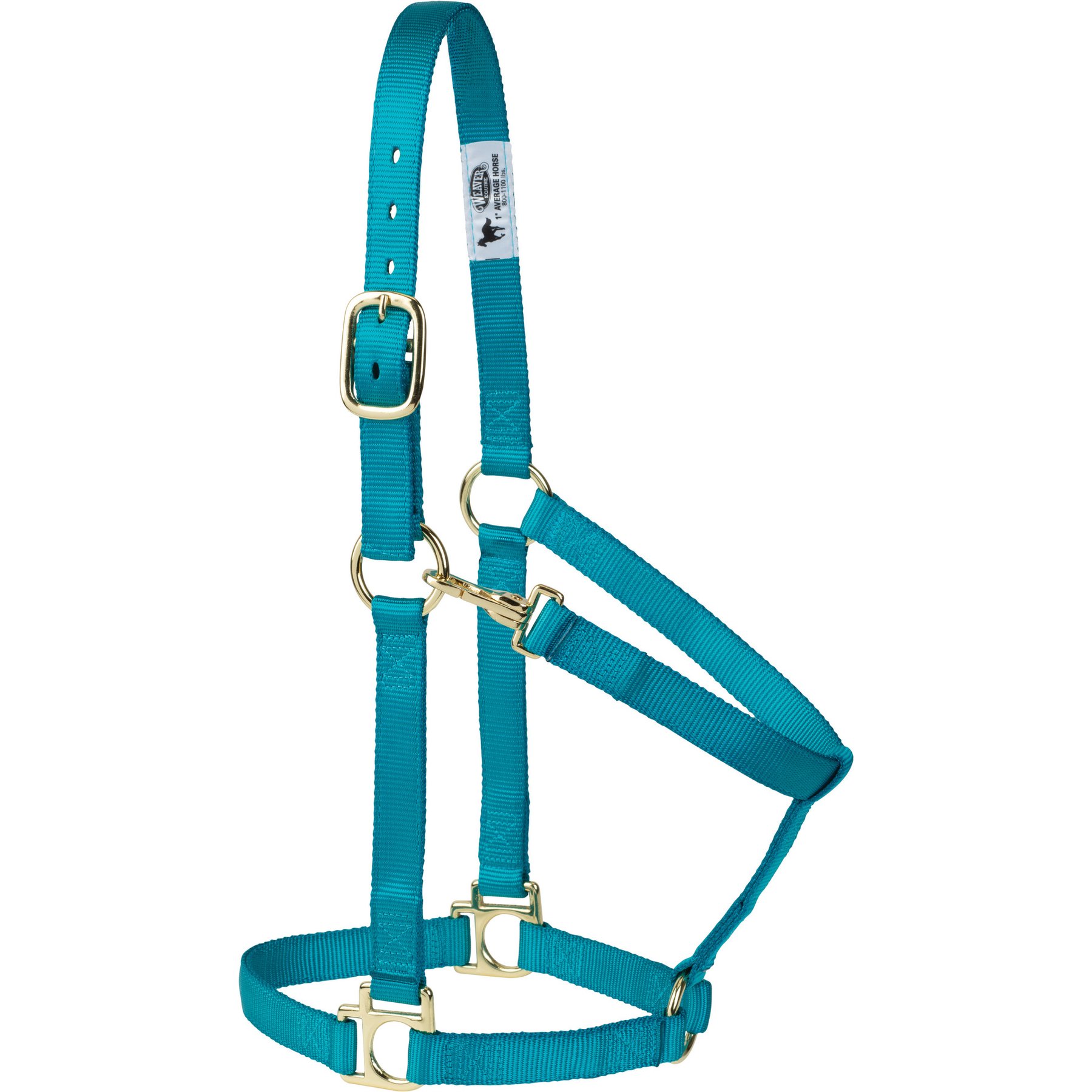 Weaver Equine Non-Adjustable Throat Snap Poly Horse Halter, Turquoise, Medium