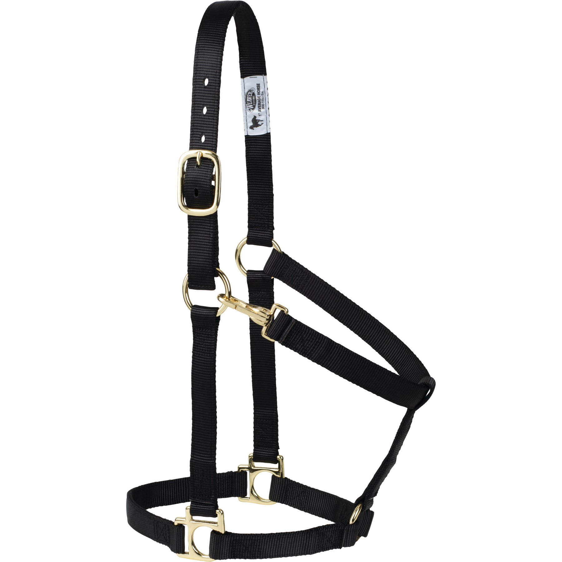 Weaver Equine Non-Adjustable Throat Snap Poly Horse Halter, Black, Medium