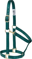 Weaver Equine Non-Adjustable Throat Snap Poly Horse Halter, Hunter Green, Small