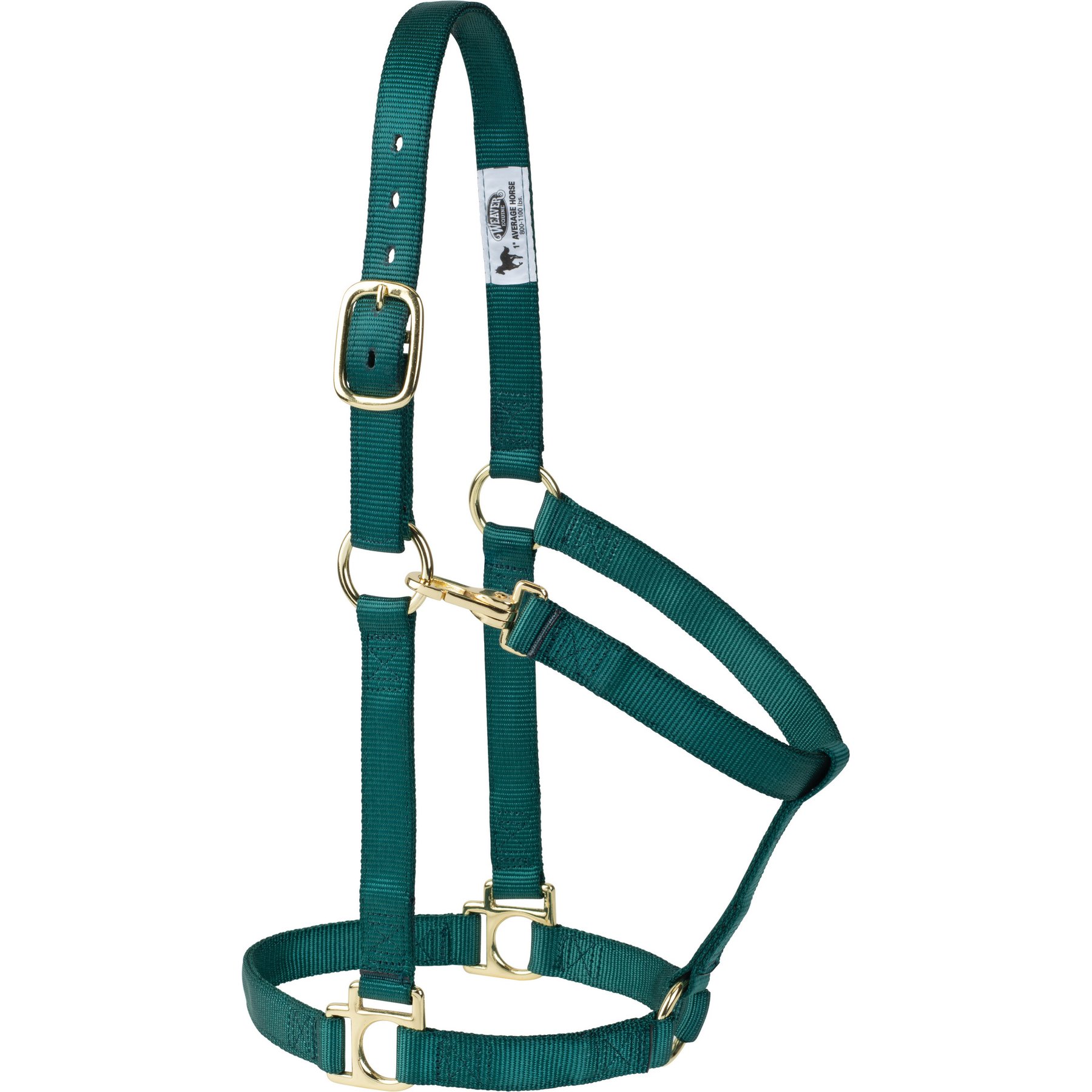 Weaver Equine Non-Adjustable Throat Snap Poly Horse Halter, Hunter Green, Large