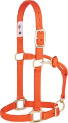 Weaver Equine Original Adjustable Chin & Throat Snap Horse Halter, Orange, Yearling slide 1 of 4