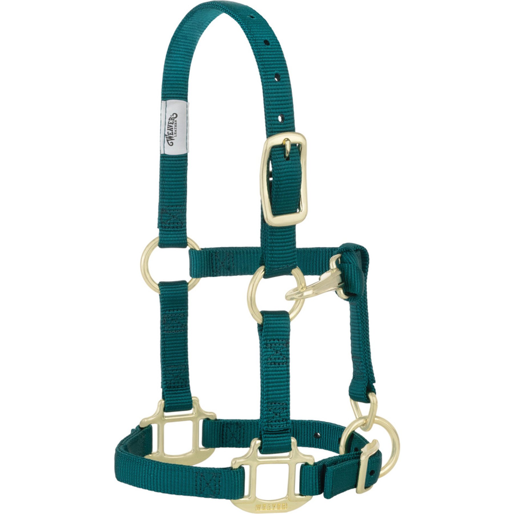 Weaver Equine Original Adjustable Chin & Throat Snap Horse Halter, Teal Green, Weanling