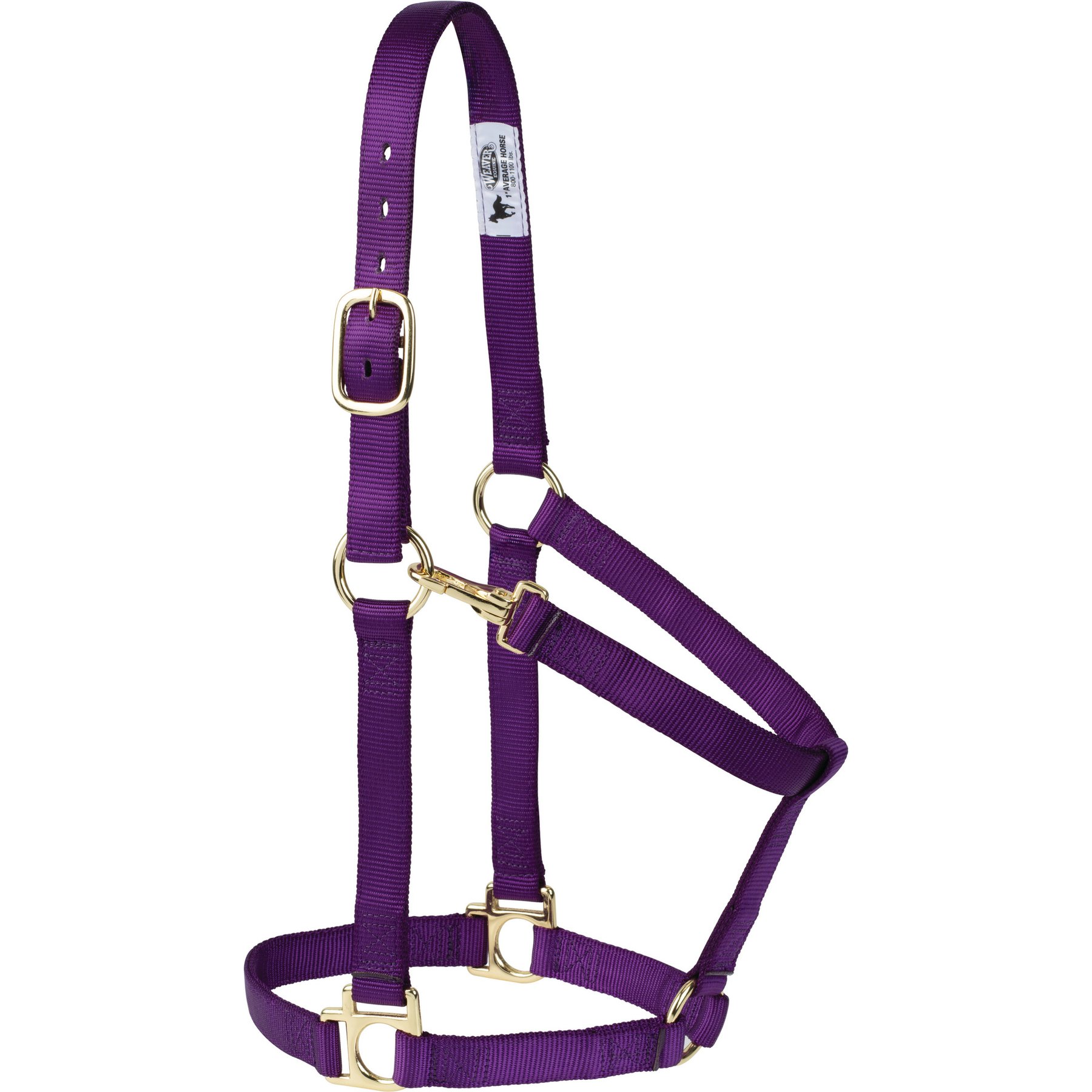 Weaver Equine Non-Adjustable Throat Snap Poly Horse Halter, Purple, Large
