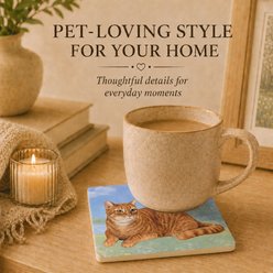 E&S PETS Orange Tabby Cat Premium Ceramic Super Absorbent Cork Back Colorful Dog Art Coasters, 4 count slide 2 of 5