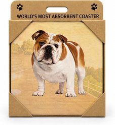 E&S PETS Bulldog Premium Ceramic Super Absorbent Cork Back Colorful Dog Art Coasters, 4 count