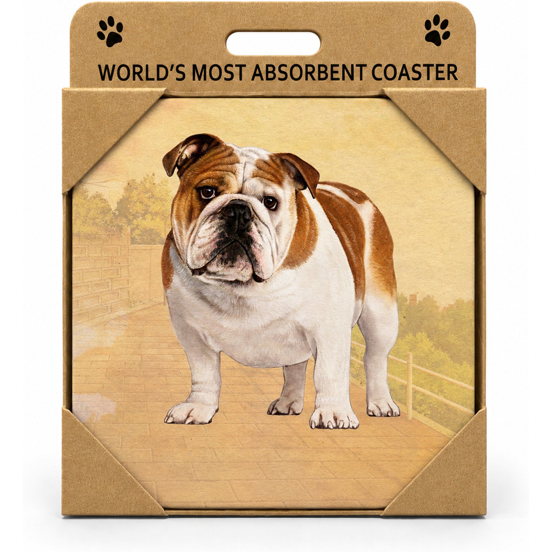 E&S PETS Bulldog Premium Ceramic Super Absorbent Cork Back Colorful Dog Art Coasters, 4 count
