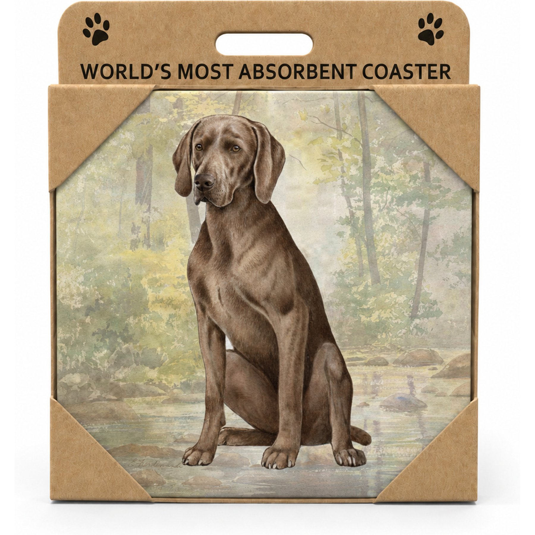 E&S PETS Weimaraner Premium Ceramic Super Absorbent Cork Back Colorful Dog Art Coasters, 4 count