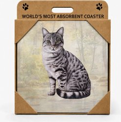 E&S PETS Silver Tabby Cat Premium Ceramic Super Absorbent Cork Back Colorful Dog Art Coasters, 4 count