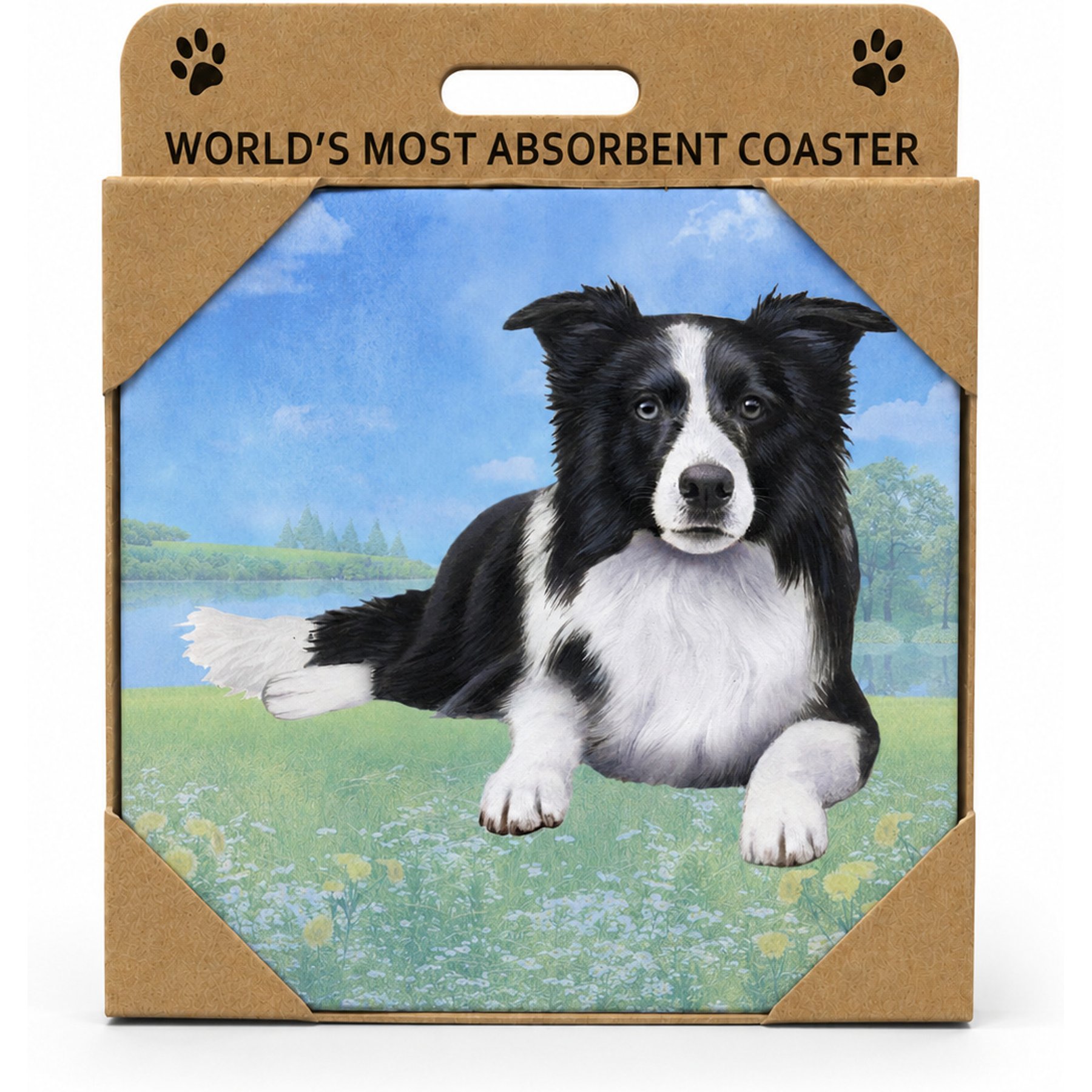 E&S PETS Border Collie Laying Premium Ceramic Super Absorbent Cork Back Colorful Dog Art Coasters, 4 count