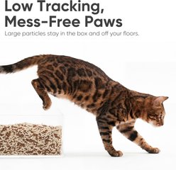 FUKUMARU Applewood Tofu Unscented Clumping Cat Litter, 6-lb bag, case of 2 slide 2 of 9