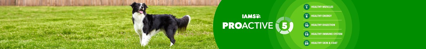 Iams Proactive 5. 1 Healthy Muscles. 2 Healthy Energy. 3 Healthy Digestion. 4 Healthy Immune System. 5 Healthy Skin & Coat.
