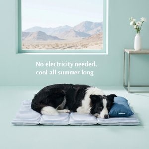 Furvii Cooling Supportive Relaxing Dog & Cat Bed Mat with Neck Pillow, Blue Stripe, X-Large